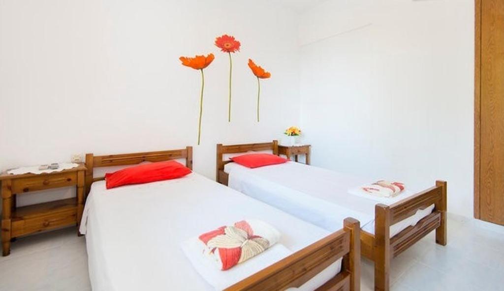 Evi Apartments And Studios Theológos Zimmer foto